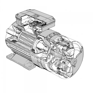 Componentele motorului electric